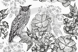 Sitting owl and seamless floral pattern with phlox and roses. Hand-drawn, vector illustration.