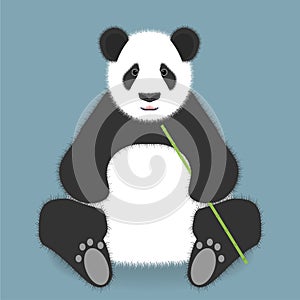 Sitting panda with bamboo stick isolated on color background. Vector illustration.