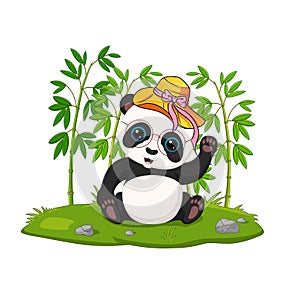 sitting panda in the jungle bamboo