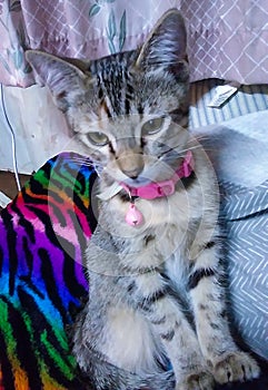 Always sitting so prim and proper