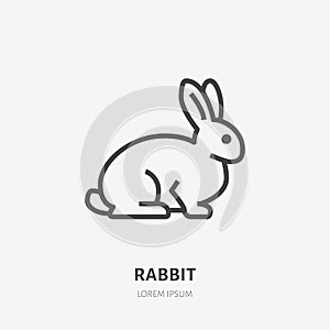 Sitting rabbit flat line icon. Vector thin sign of cute bunny, animal logo. Pet shop outline illustration, cruelty free