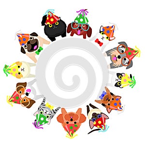 Sitting small dogs and cats with party hats looking up circle
