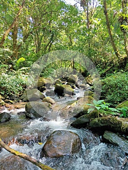 SITU GUNUNG RIVERS