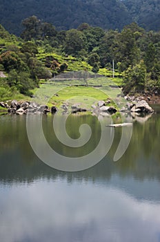 Situ Patenggang lake, Ciewedey, South of Bandung photo