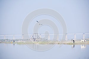 Situation after flood in India