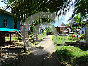 Situation of Village on the coast of the island of Flores photo