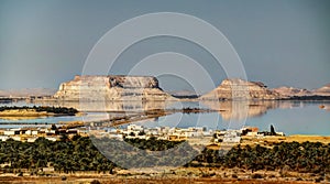 Siwa lake and oasis, Egypt