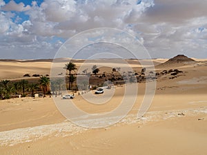 Siwa oasis in the desert