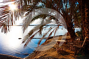 Siwa Oasis photo