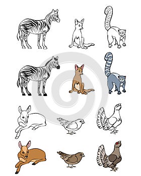 Six animals set