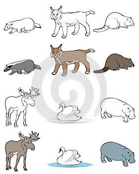 Six animals set