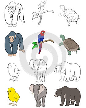 Six animals set
