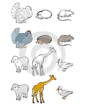 Six animals set