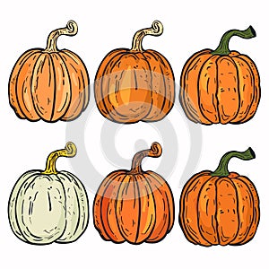 Six assorted pumpkins handdrawn set, vibrant orange one pale green, distinct ribbed textures photo