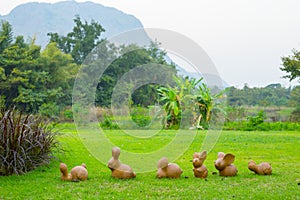 Six beautiful clay brown hares on the lawn with green grass in t