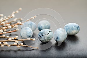 Six blue marble eggs, painted in hibiscus tea, with willow branches lie on black background