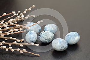 Six blue marble eggs, painted in hibiscus tea, with willow branches lie on black background