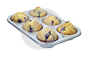Six Blueberry Muffins In Pan Isolated on White
