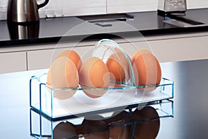 Six brown eggs in an egg rack