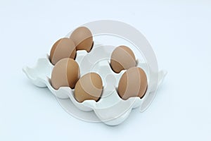 Six brown eggs in an egg rack against a white background