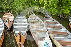 Six canoes attacch to a quay