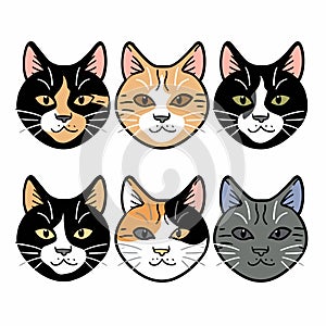 Six cartoon cat faces variety coat colors patterns. Domestic felines expressions, cute whiskers