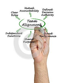 Characteristics of Team Alignment photo