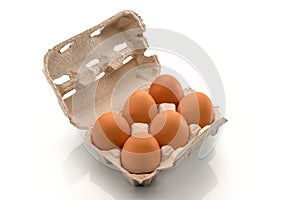 Six chicken eggs in cardboard egg tray