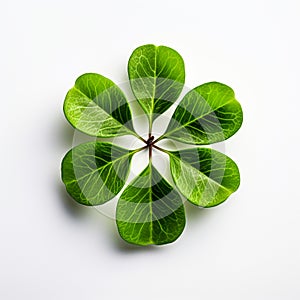 six clover leaf isolated on white background generative AI