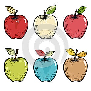 Six colorful apples leaves vector illustration, handdrawn fruit collection isolated white