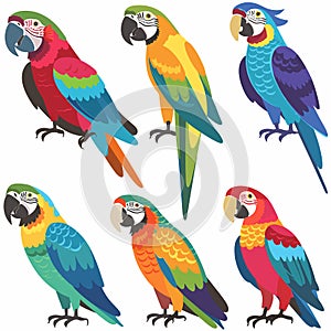 Six colorful cartoon parrots vibrant feathers standing. Brightly colored macaws illustrated
