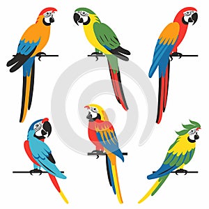 Six colorful parrot illustrations featuring various species perched different poses. Brightly