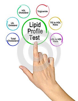 Components of Lipid Profile Test