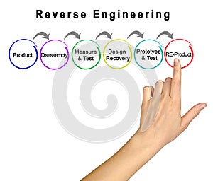 Components of Reverse Engineering