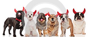 Six cute dogs wearing devil horns for halloween