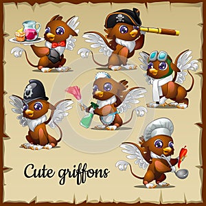 Six cute griffons engaged in their own business