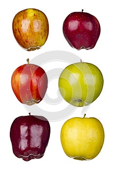 Six Different Apples