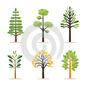 Six different cartoon trees varying leaf shapes colors represent changing seasons. Trees photo