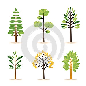 Six different cartoon trees varying leaf shapes colors represent changing seasons. Trees