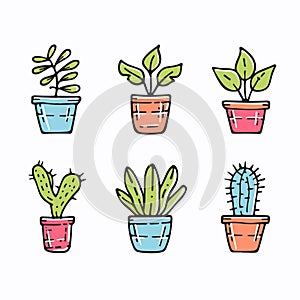 Six different potted plants represent houseplant collection illustration. Colorful pots photo