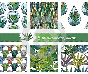 Six different seamless patterns with homeplant plants