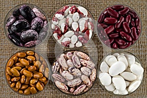 Six different varieties of beans