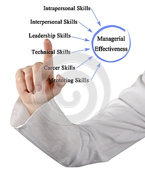 Drivers of Managerial Effectiveness photo