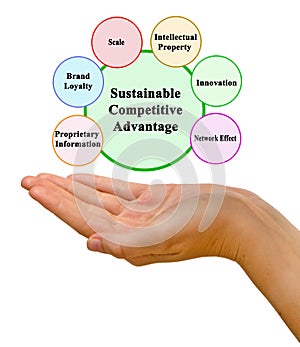Drivers of Sustainable Competitive Advantage