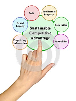 Drivers of Sustainable Competitive Advantage