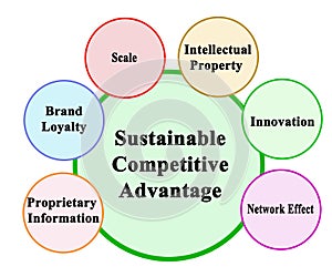 Drivers of Sustainable Competitive Advantage