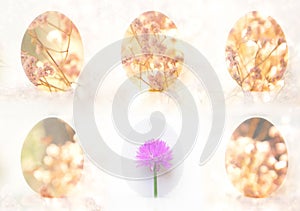 Six Easter egg with flower