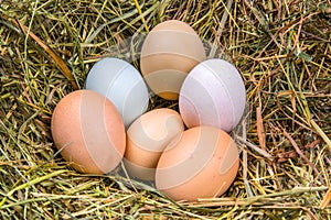 Six eggs in different colors and sizes on a bed of hay