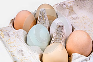 Six eggs in different colors and sizes in an egg carton