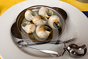 Six escargots